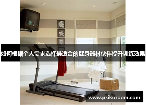 如何根据个人需求选择最适合的健身器材伙伴提升训练效果
