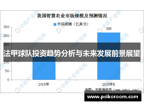 法甲球队投资趋势分析与未来发展前景展望