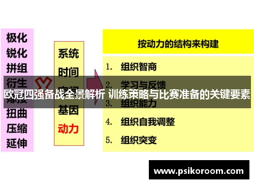 欧冠四强备战全景解析 训练策略与比赛准备的关键要素